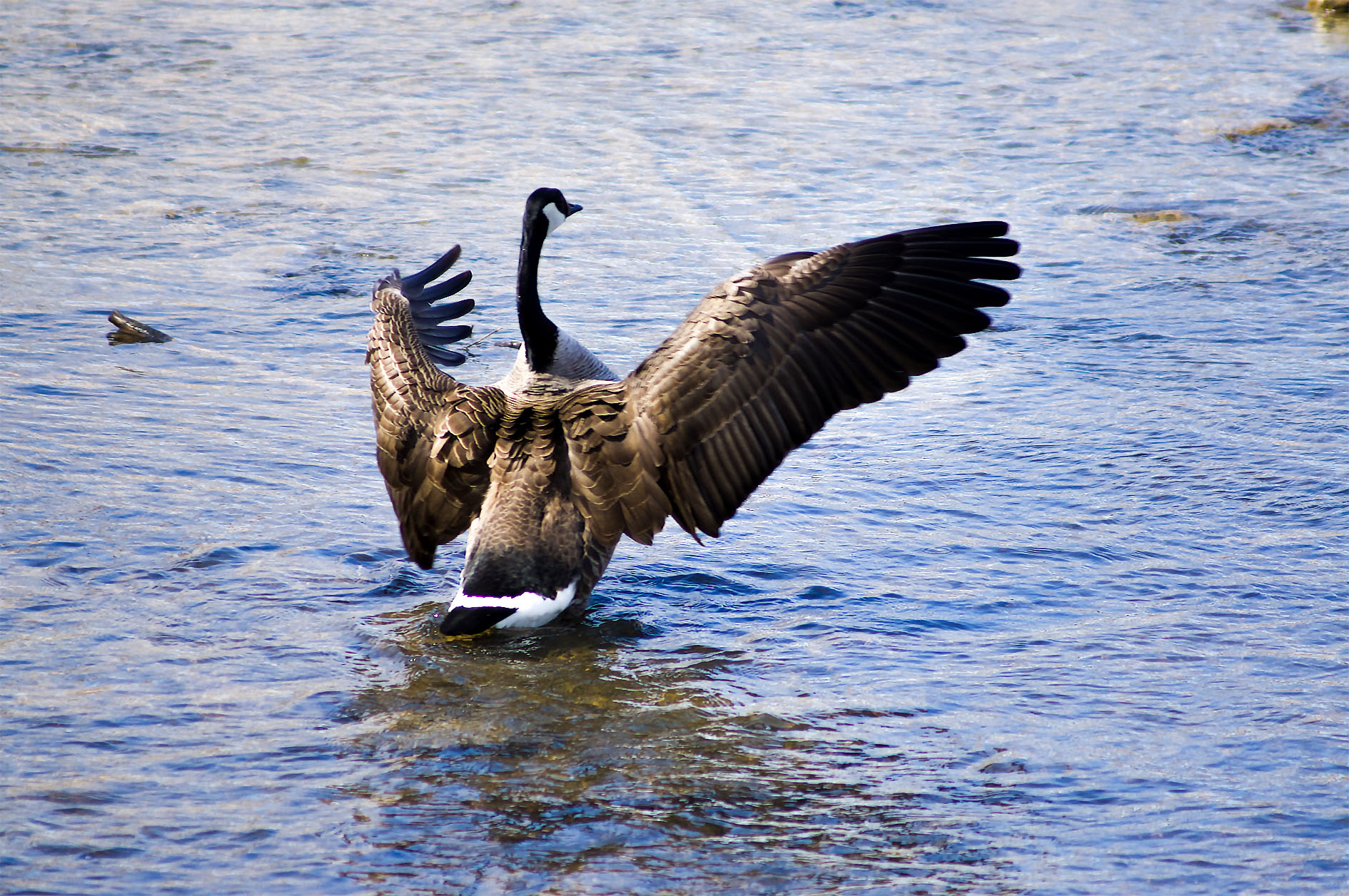 Maude Desbois Photographie