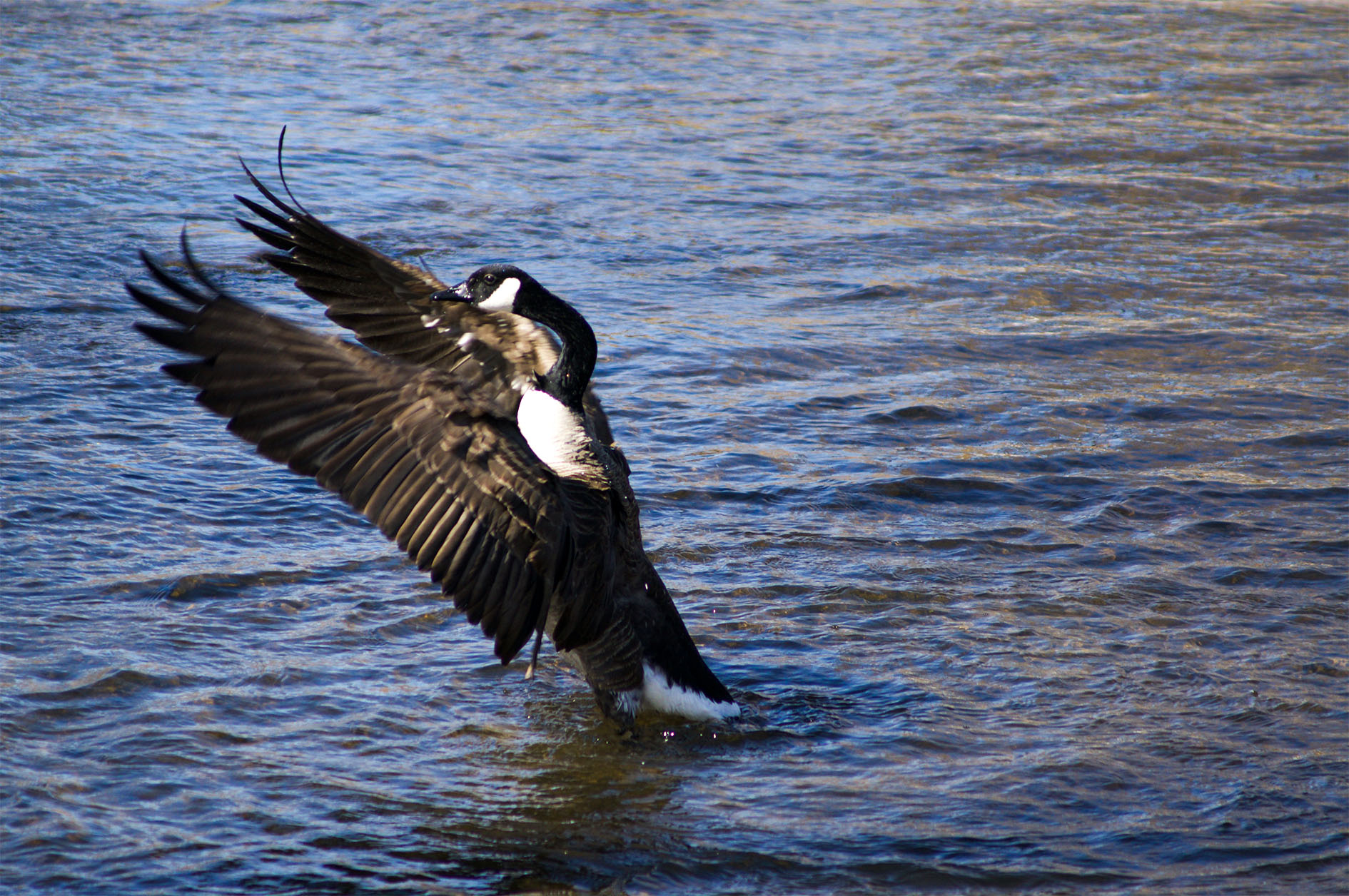 Maude Desbois Photographie