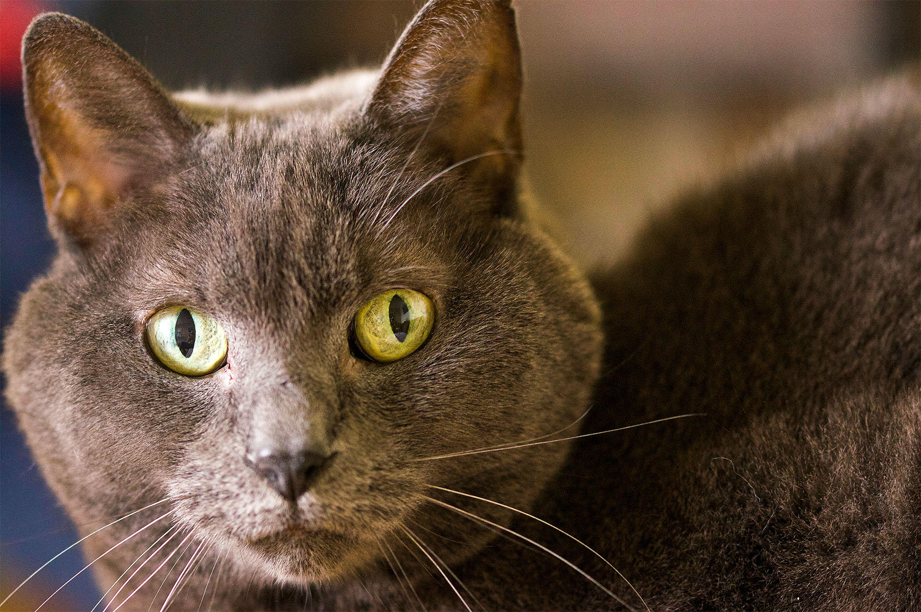 Maude Desbois Photographie