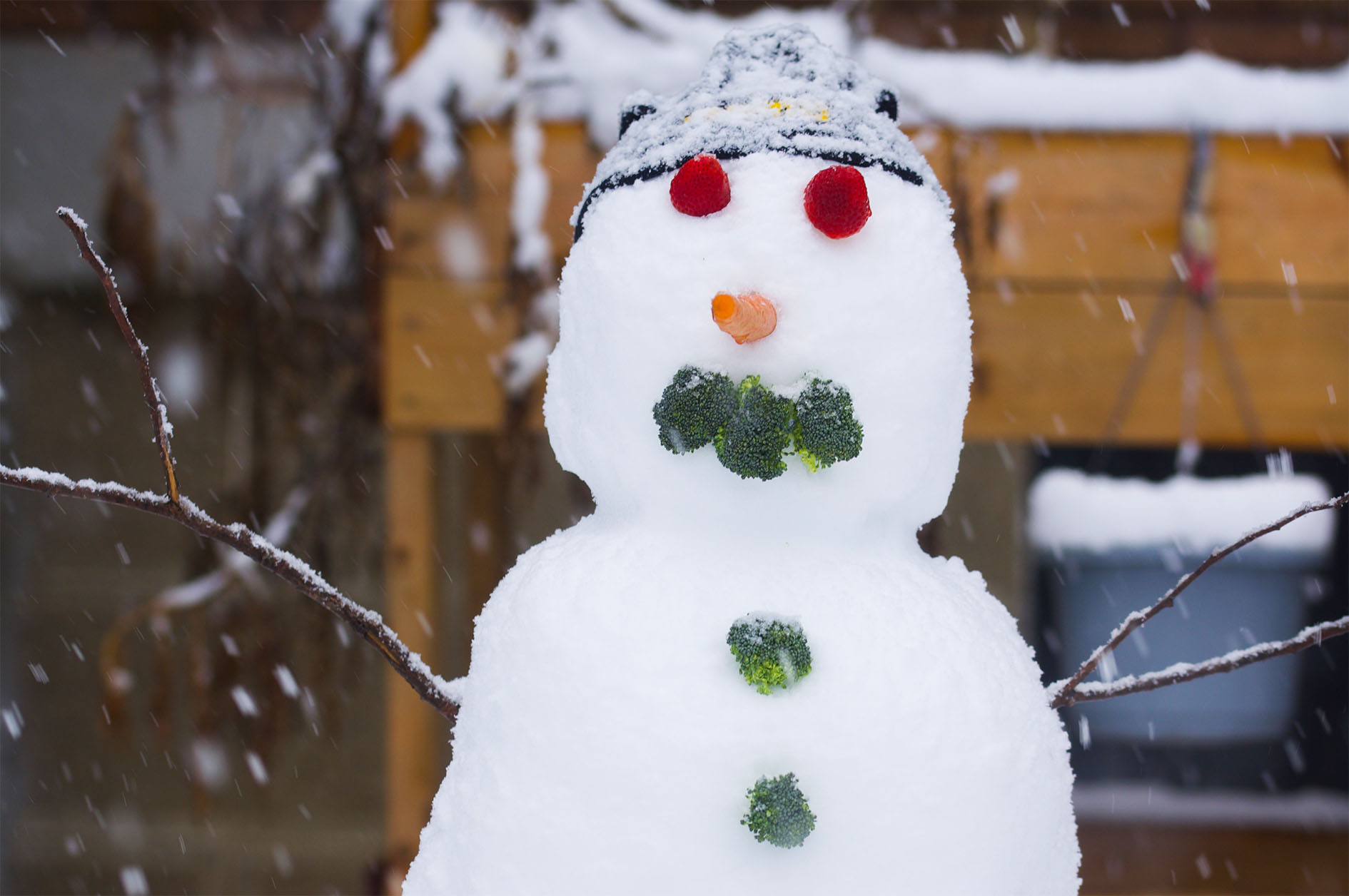 Maude Desbois Photographie