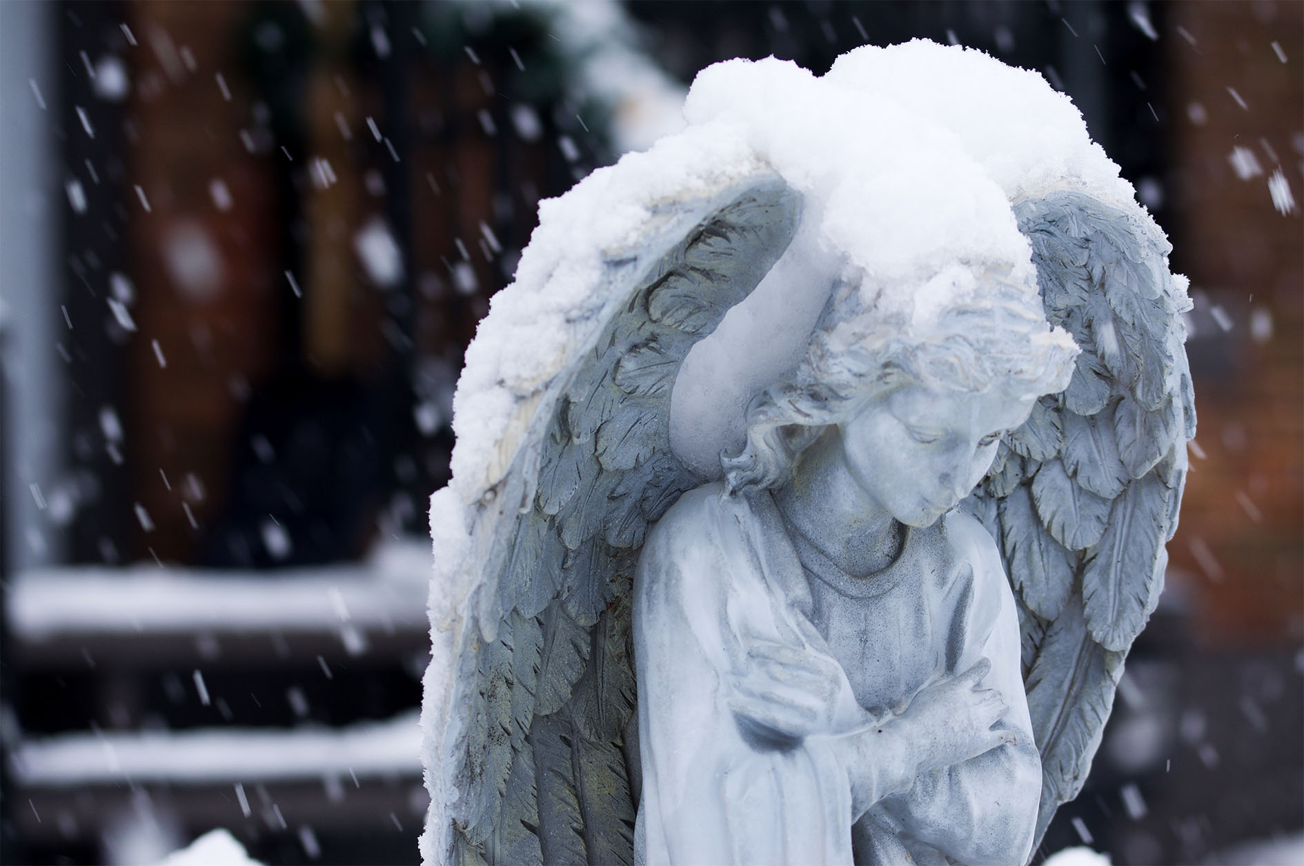 Maude Desbois Photographie