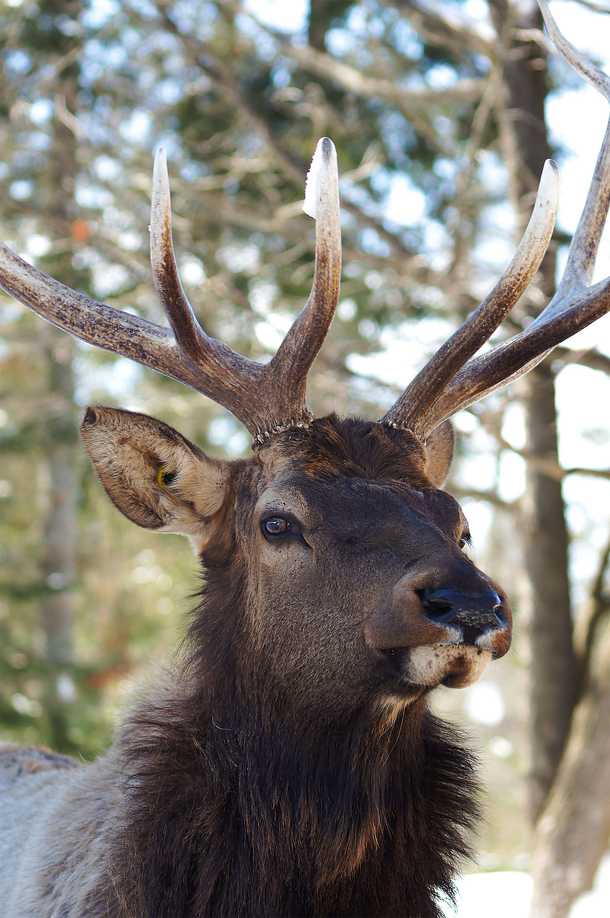 Maude Desbois Photographie