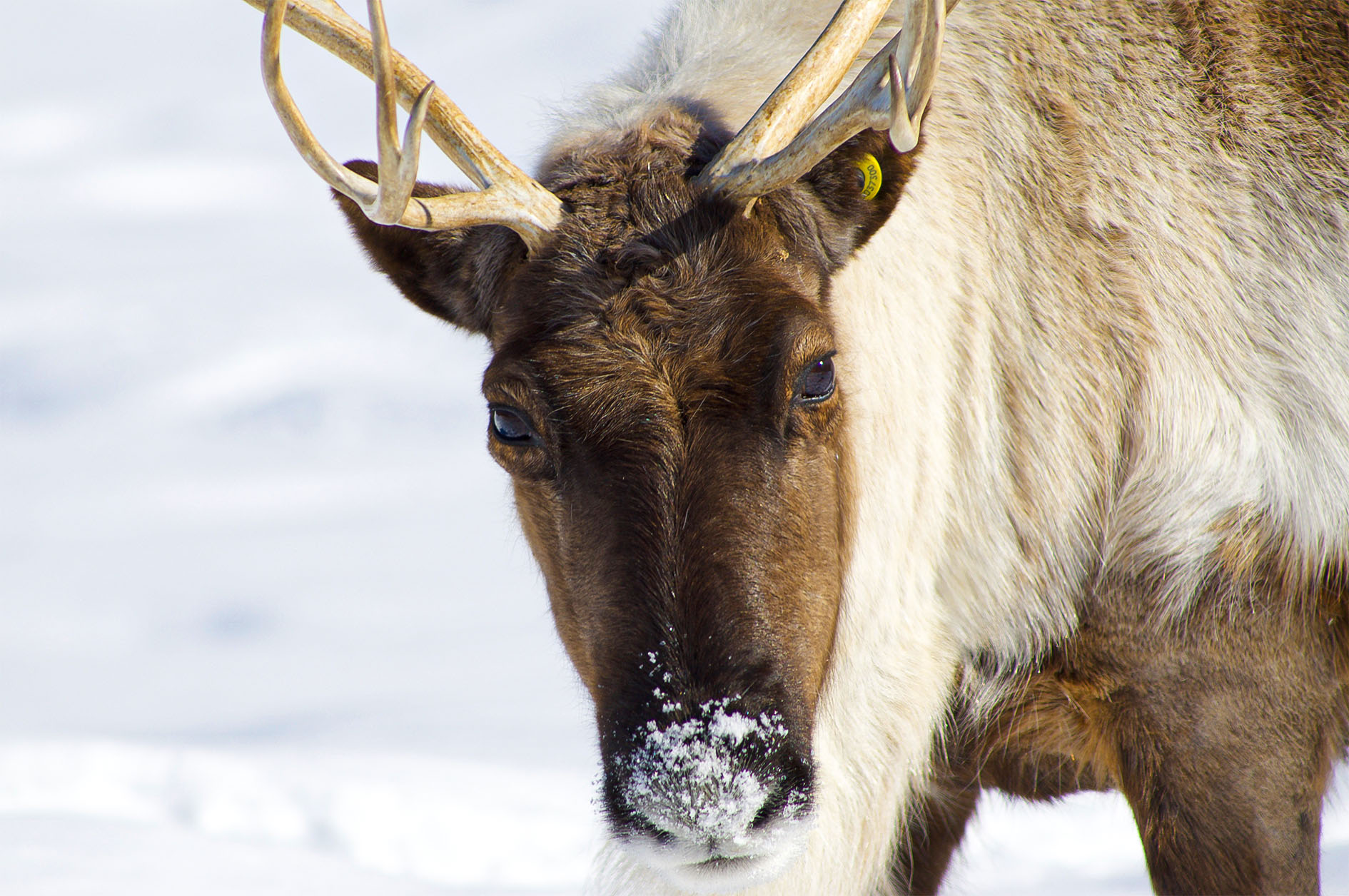 Maude Desbois Photographie