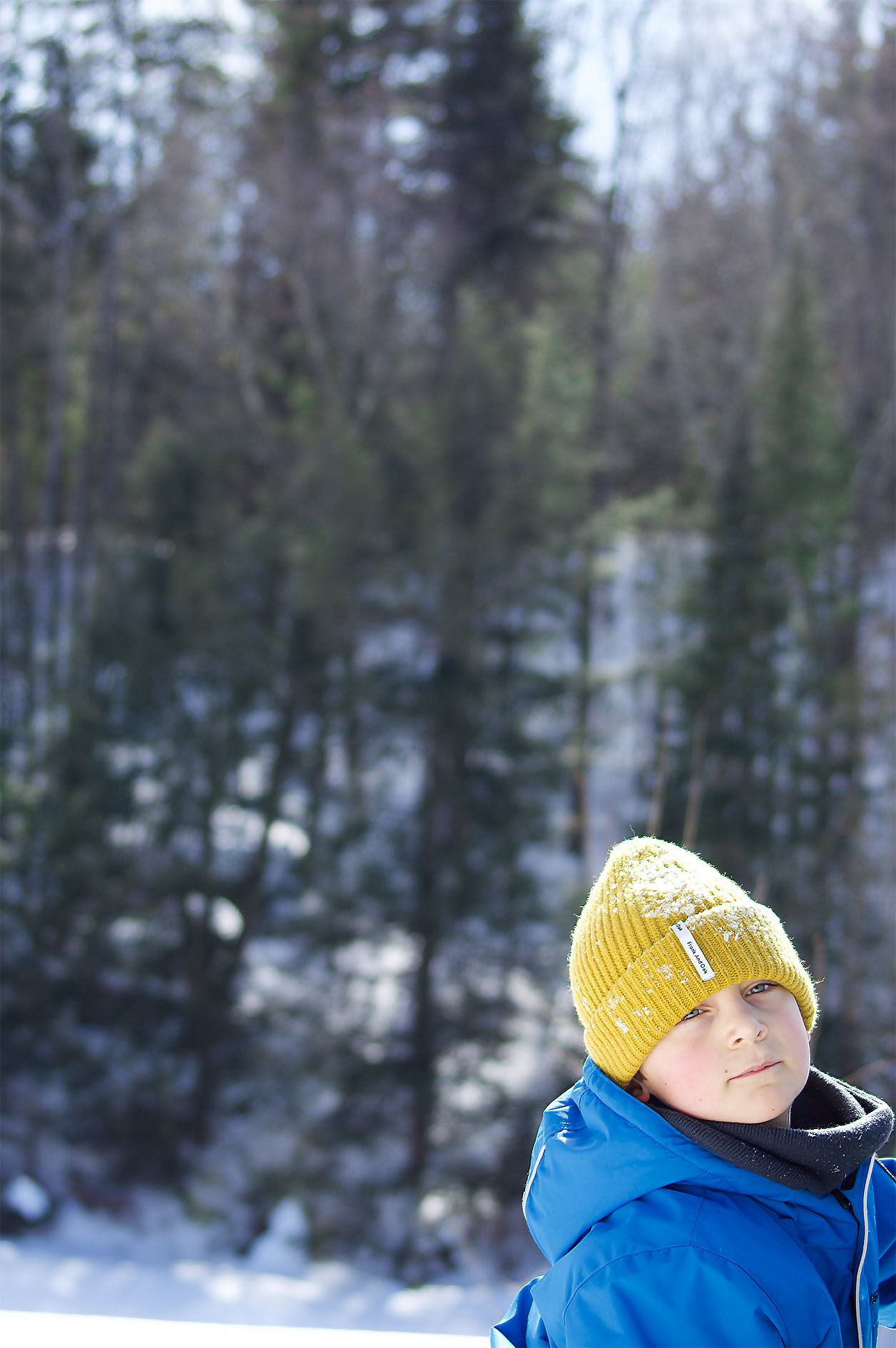 Maude Desbois Photographie