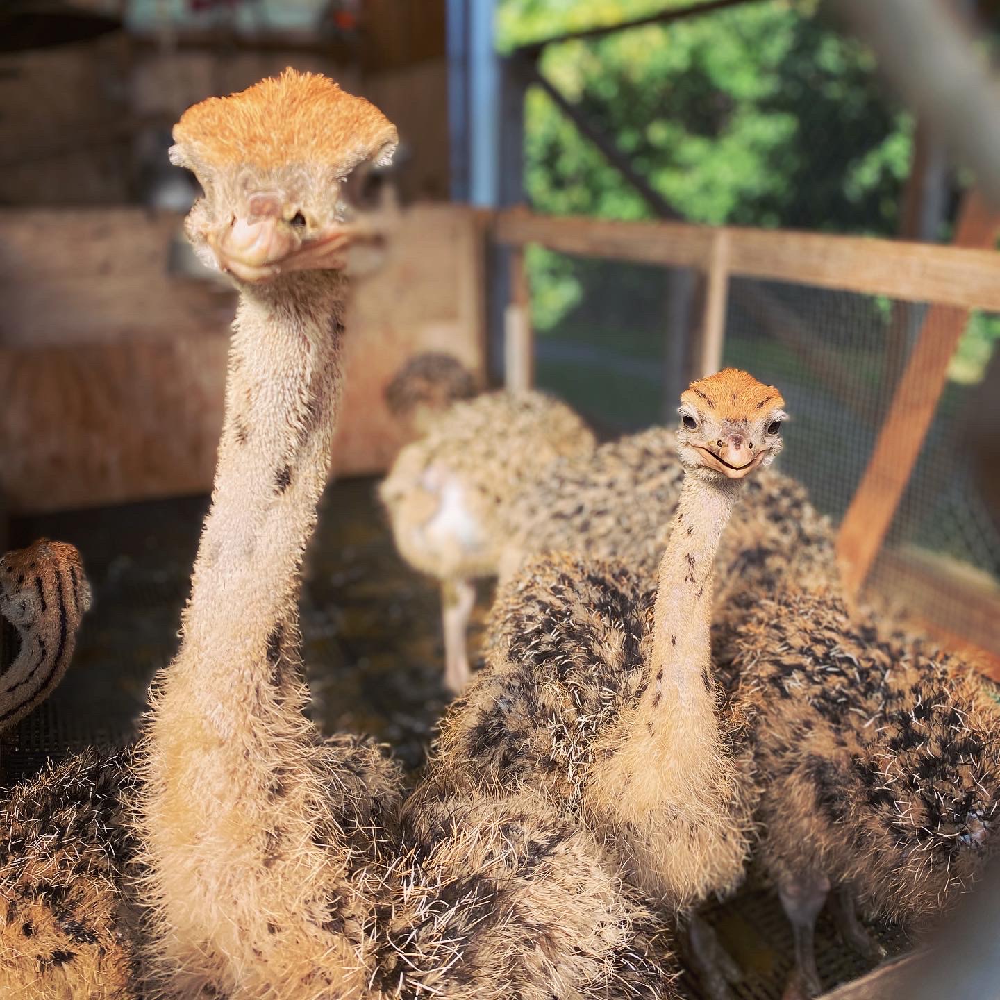 Maude Desbois Photographie