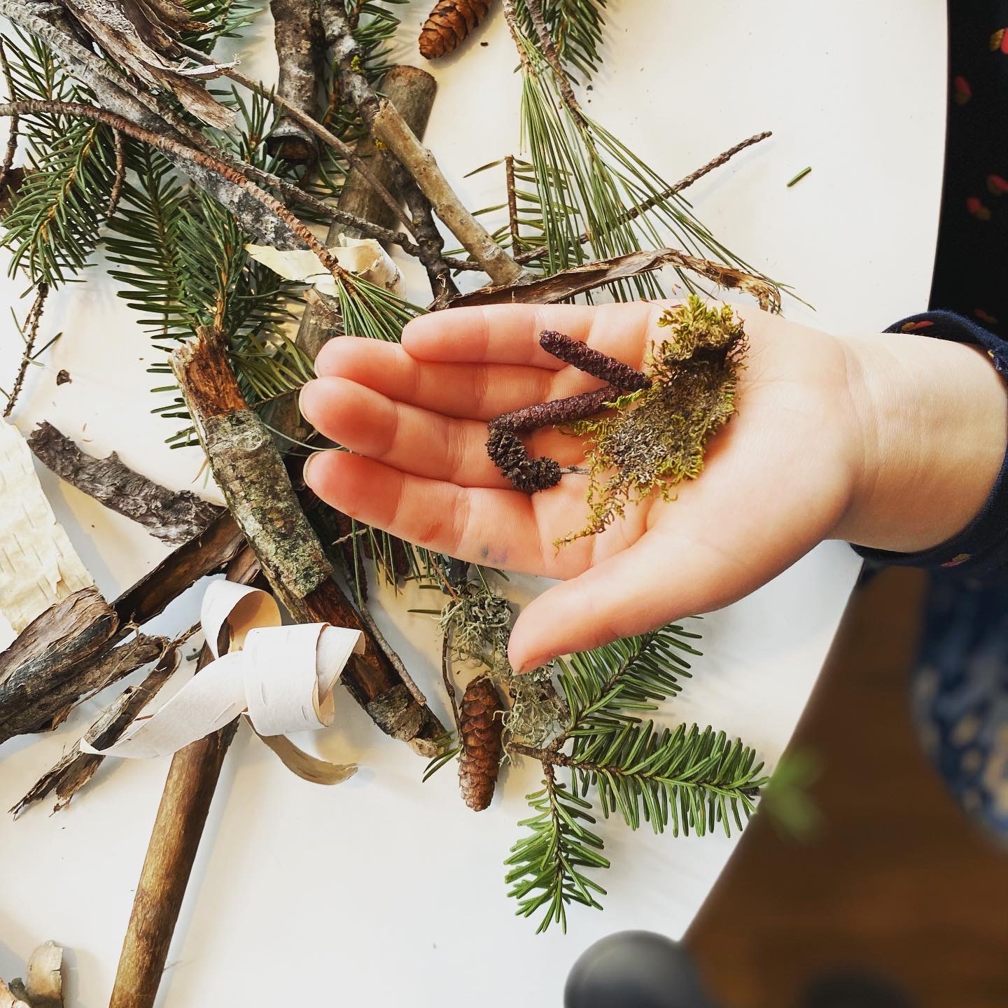 Maude Desbois Photographie