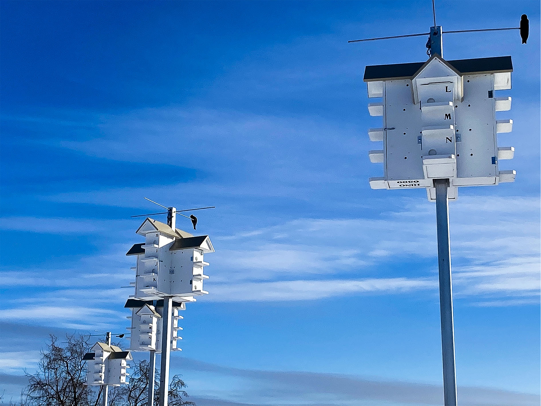 Maude Desbois Photographie