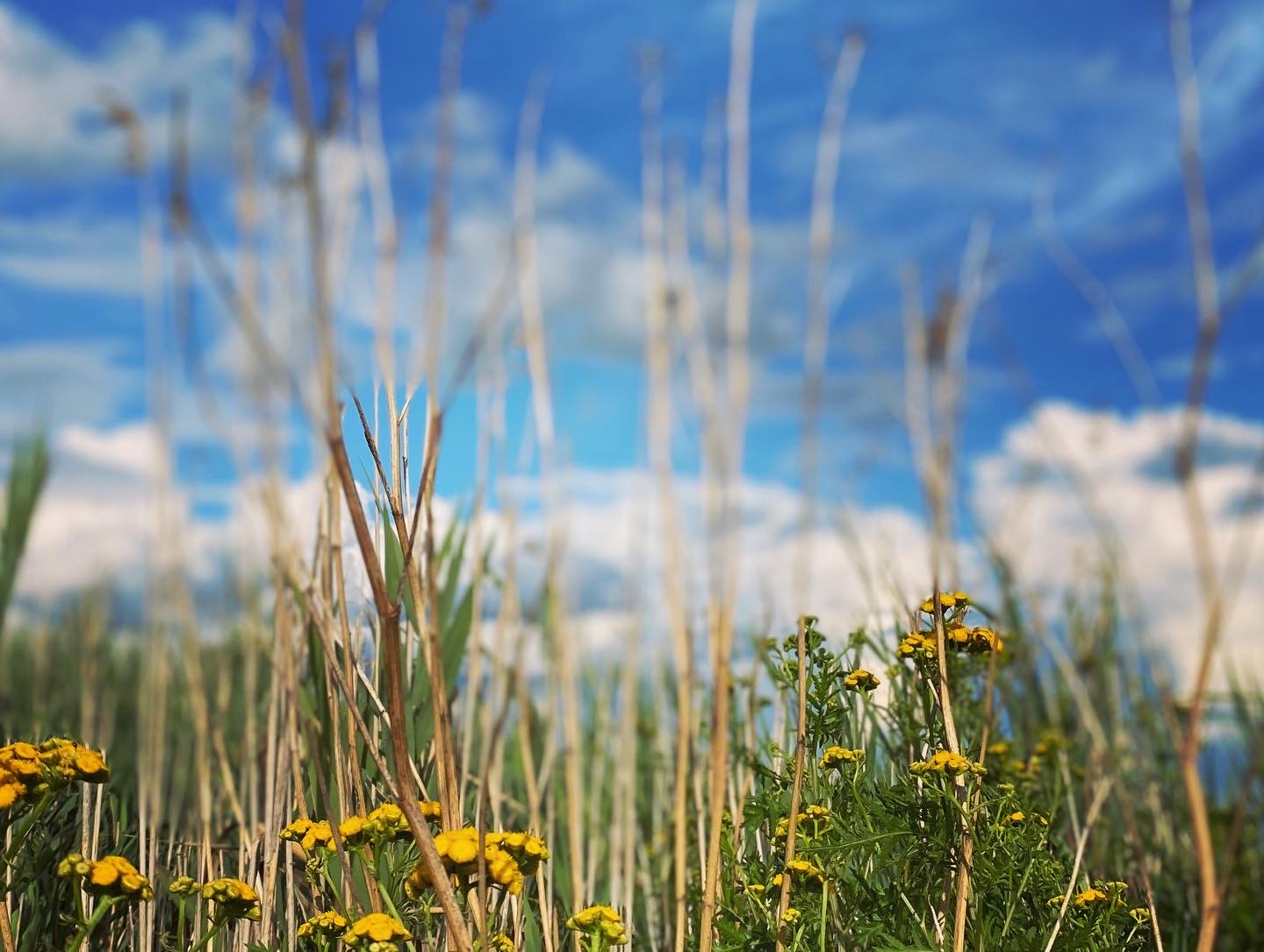 Maude Desbois Photographie