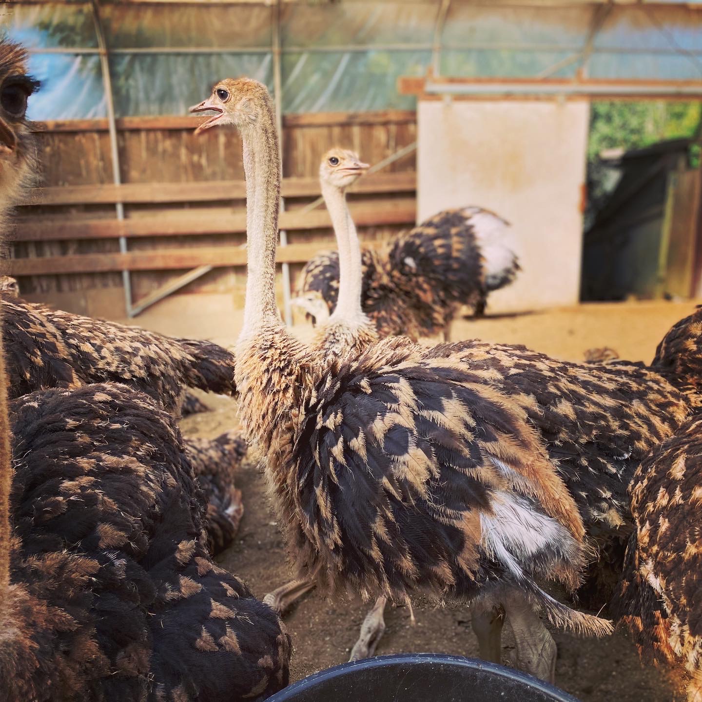 Maude Desbois Photographie