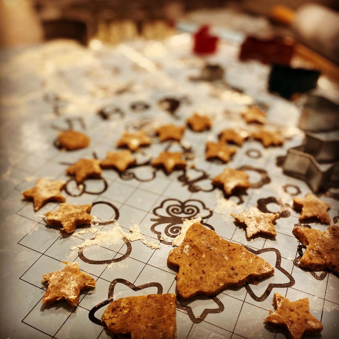 Maude Desbois Photographie