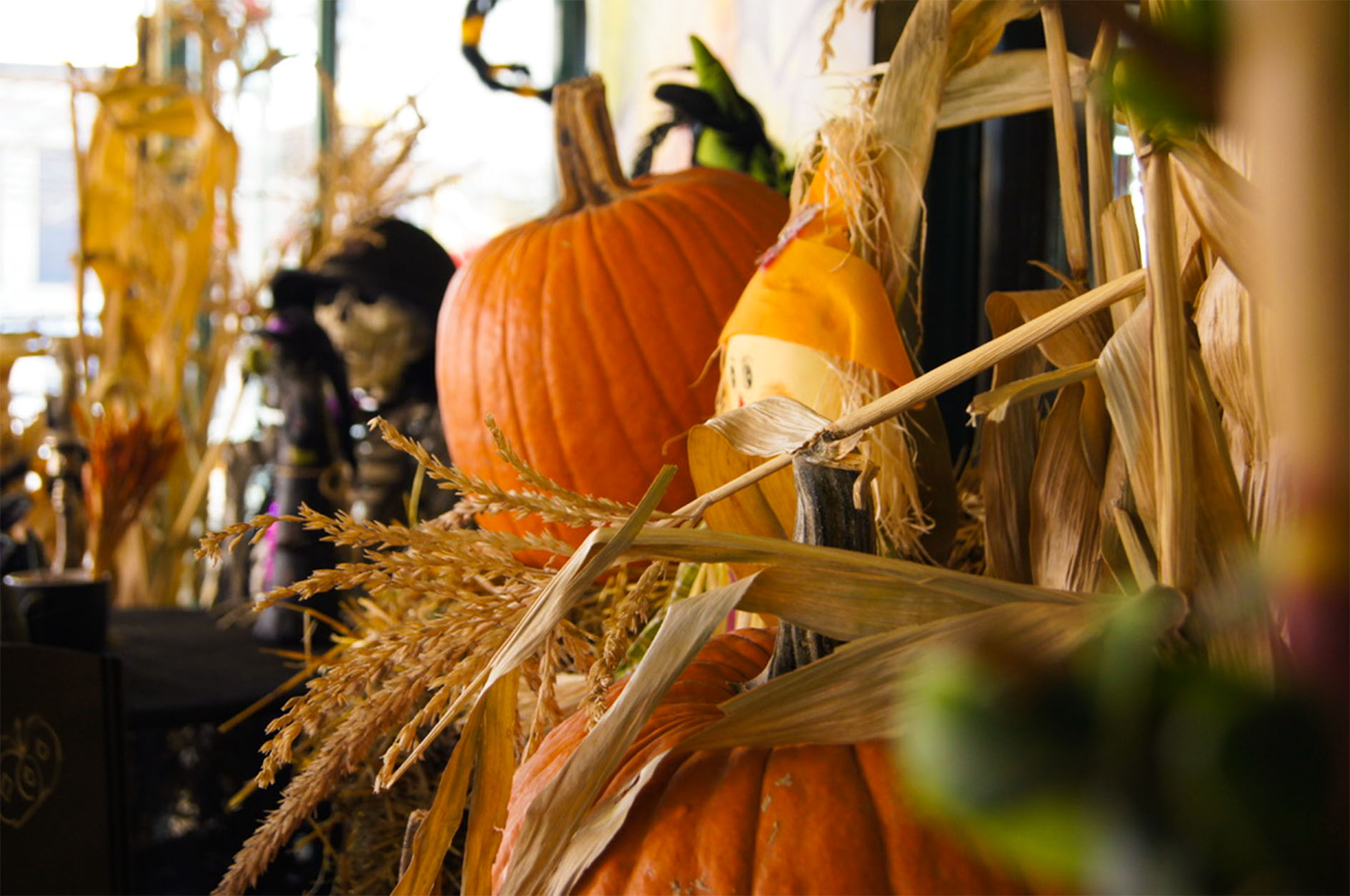 Maude Desbois Photographie