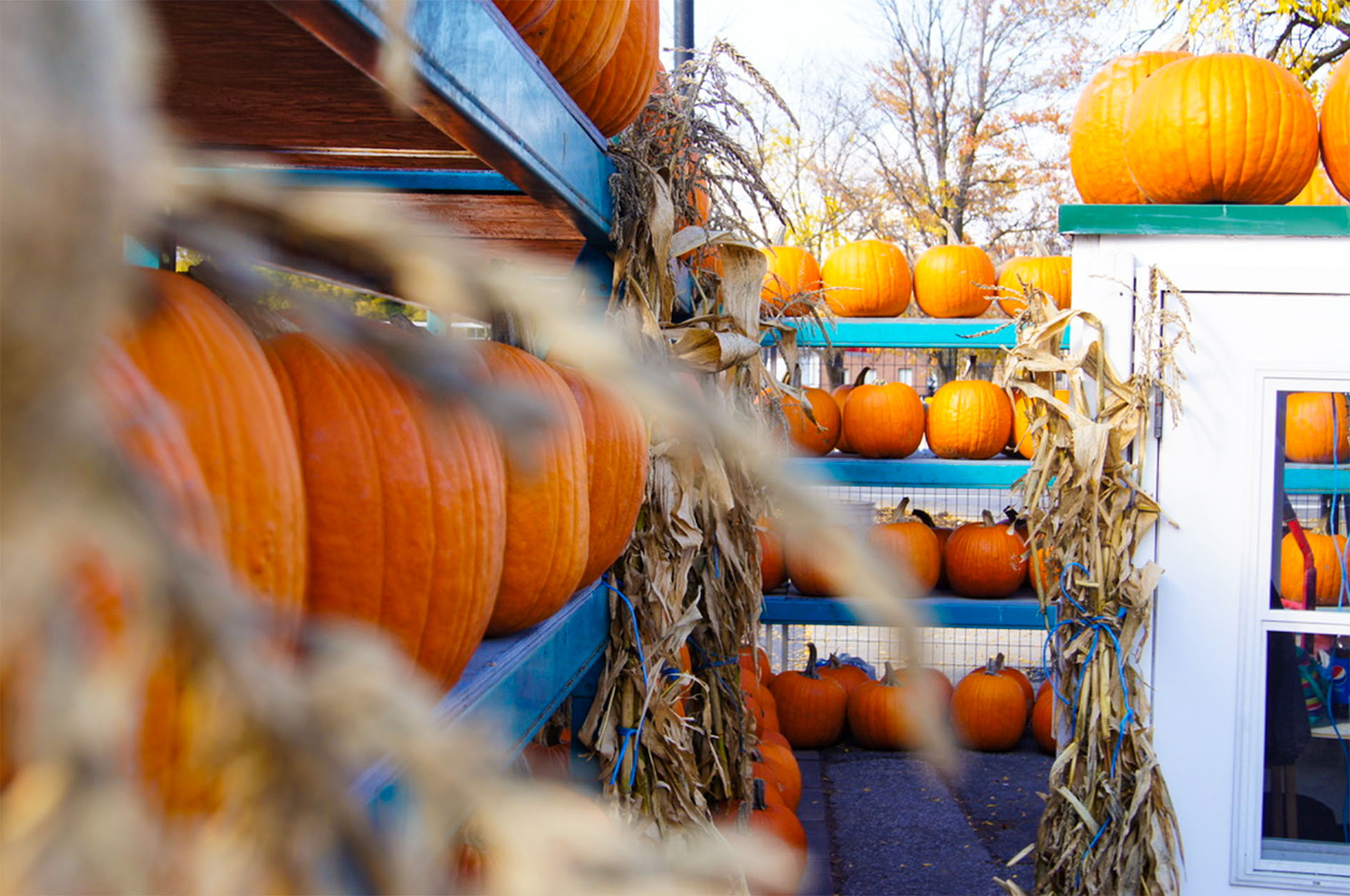 Maude Desbois Photographie