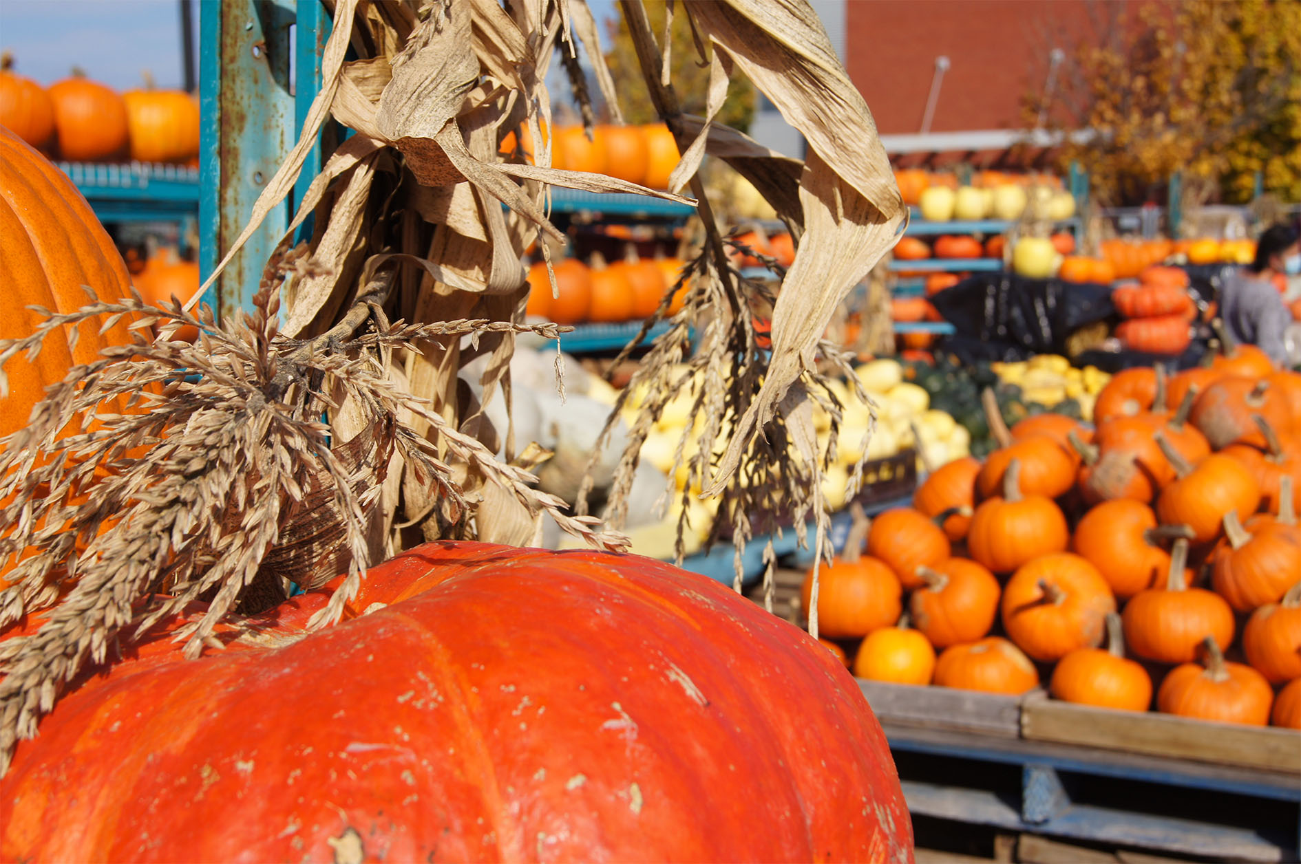 Maude Desbois Photographie