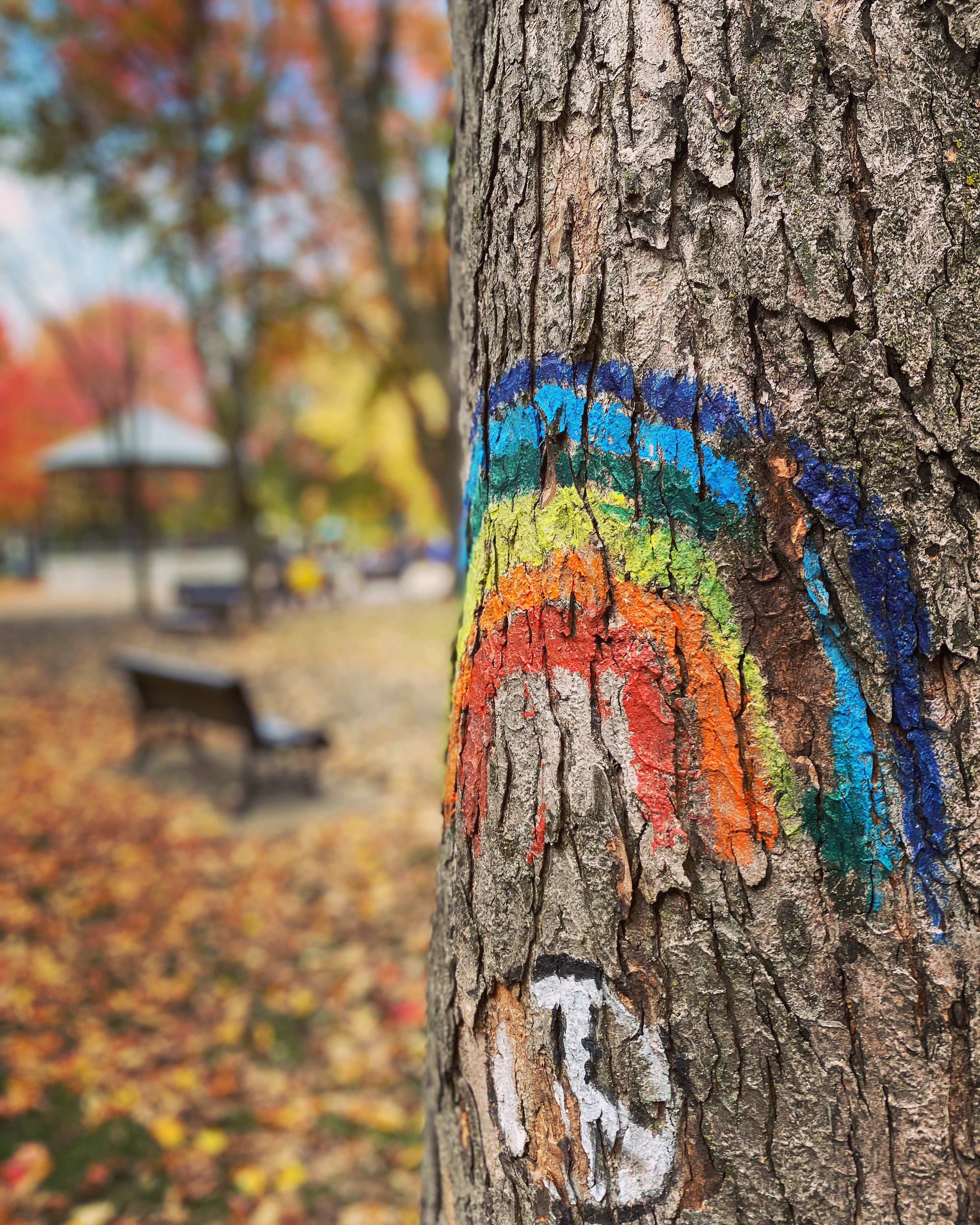 Maude Desbois Photographie