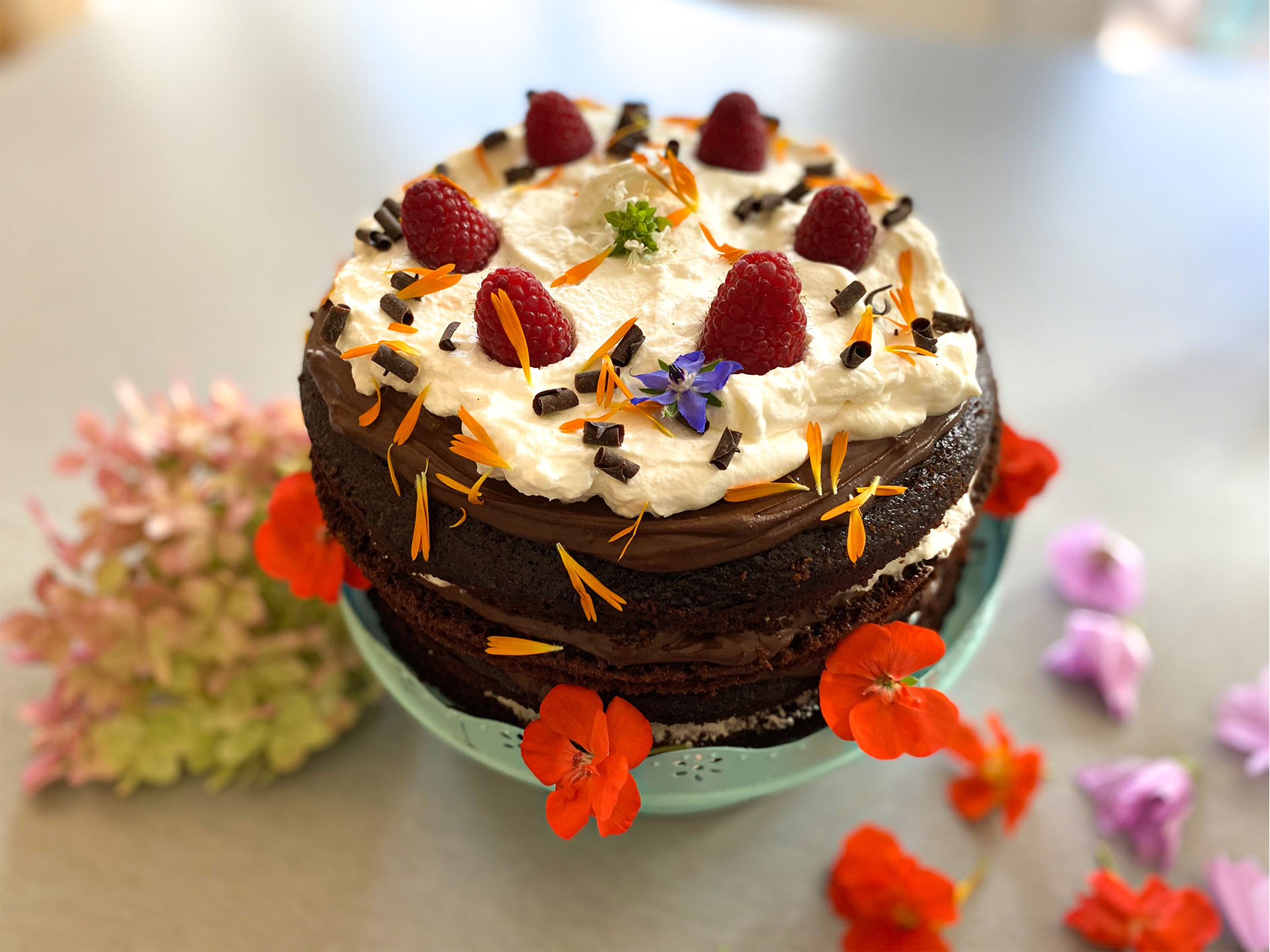 Maude Desbois Photographie