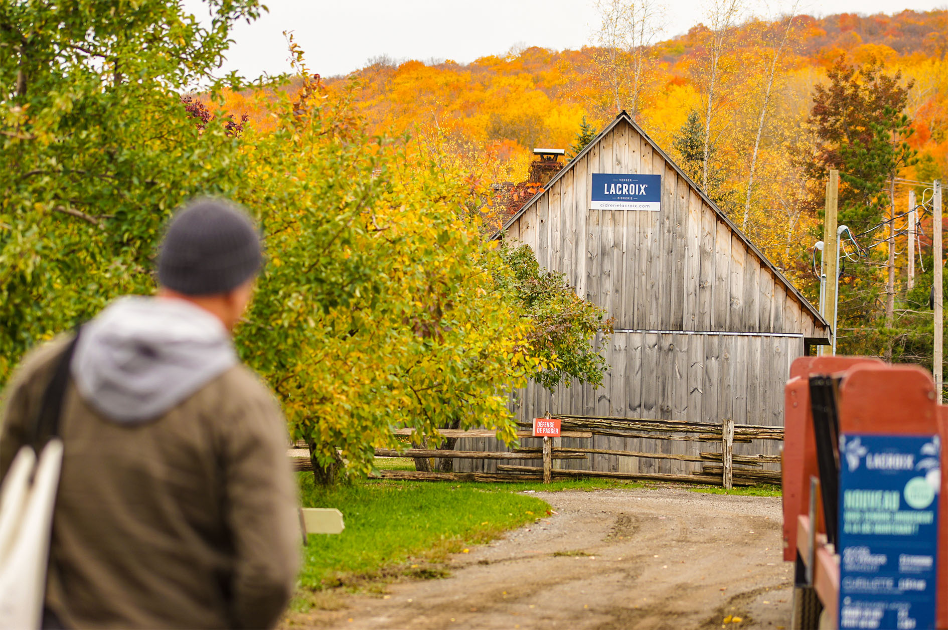 Maude Desbois Photographie