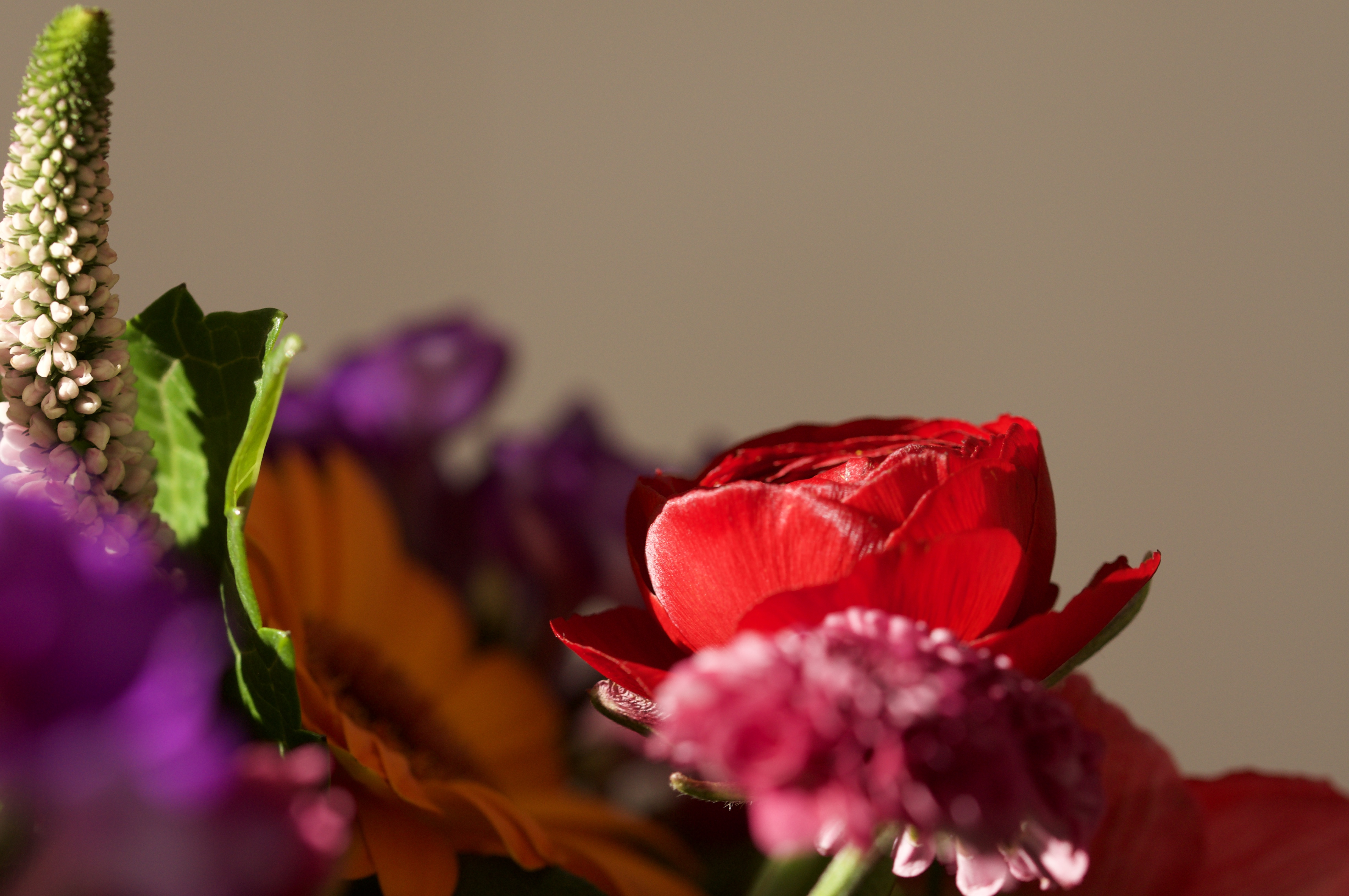 Maude Desbois Photographie