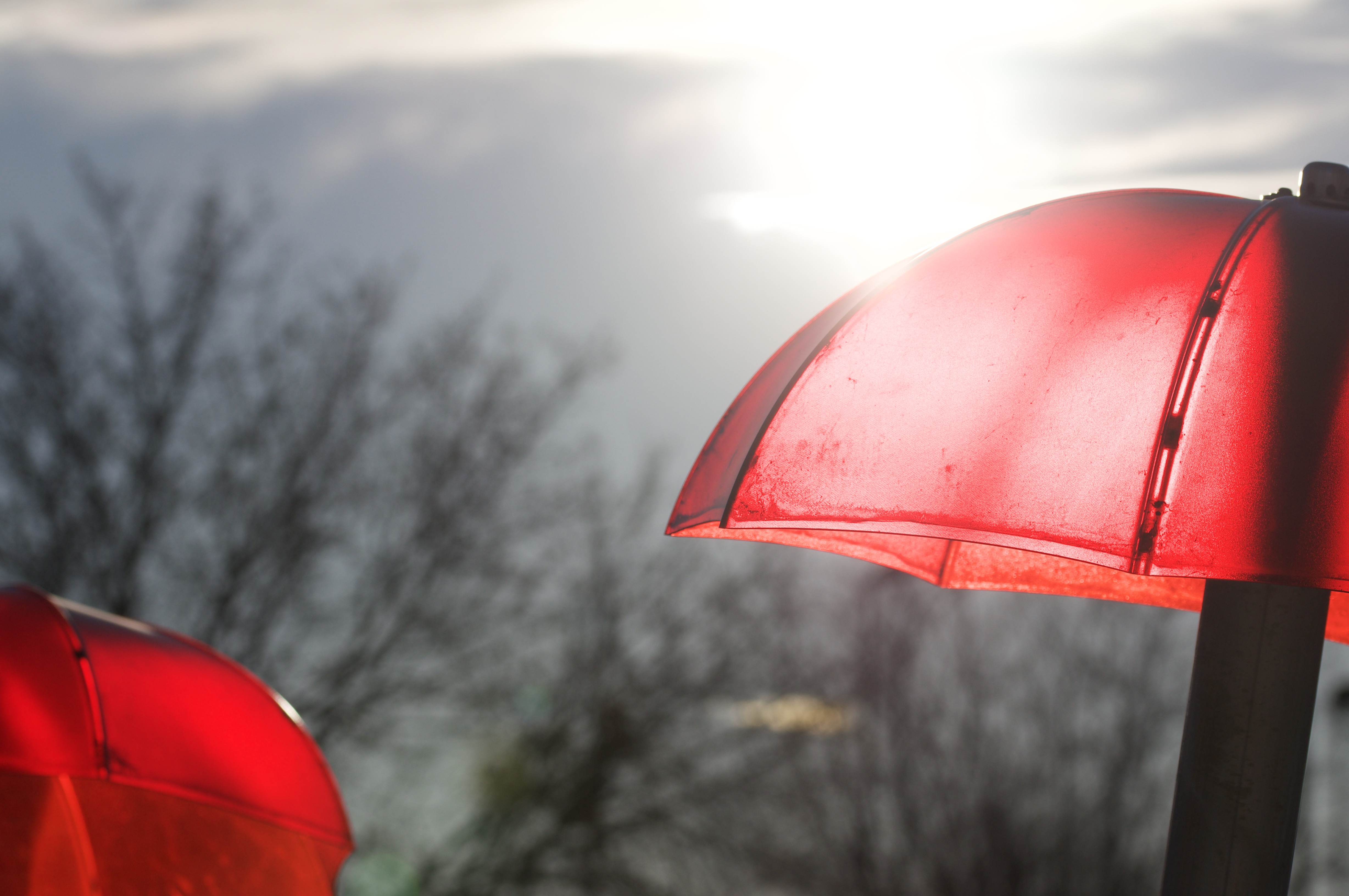 Maude Desbois Photographie