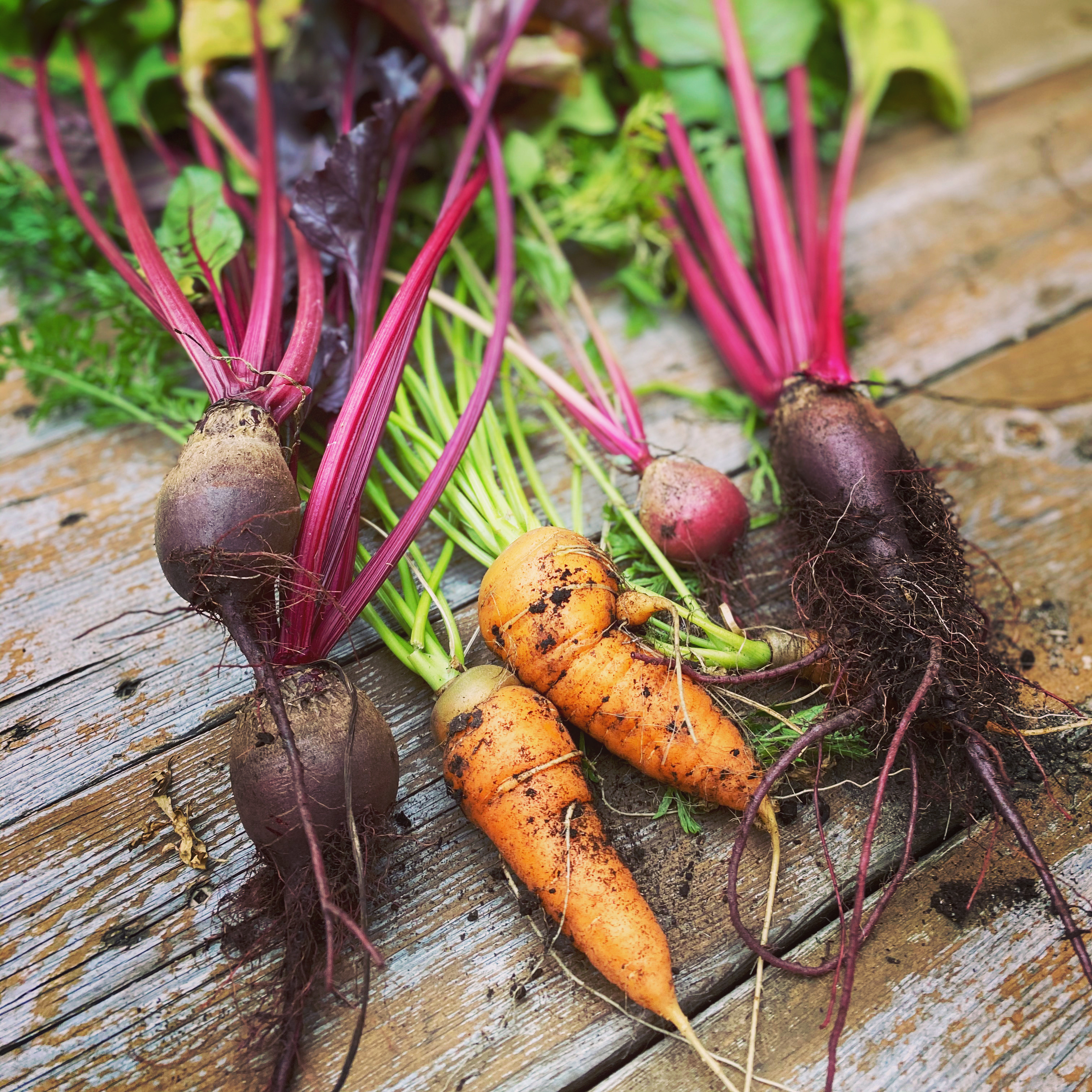 Maude Desbois Photographie