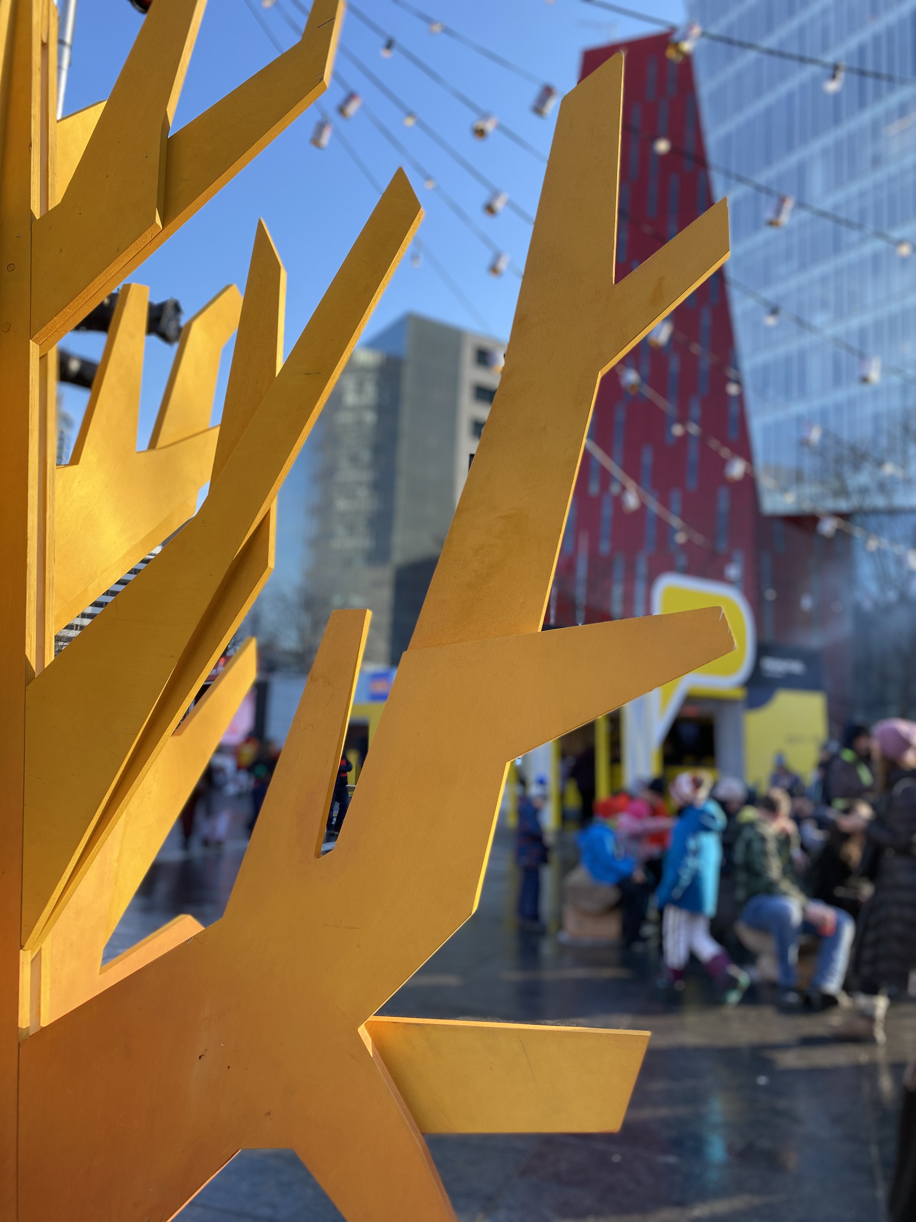 Maude Desbois Photographie