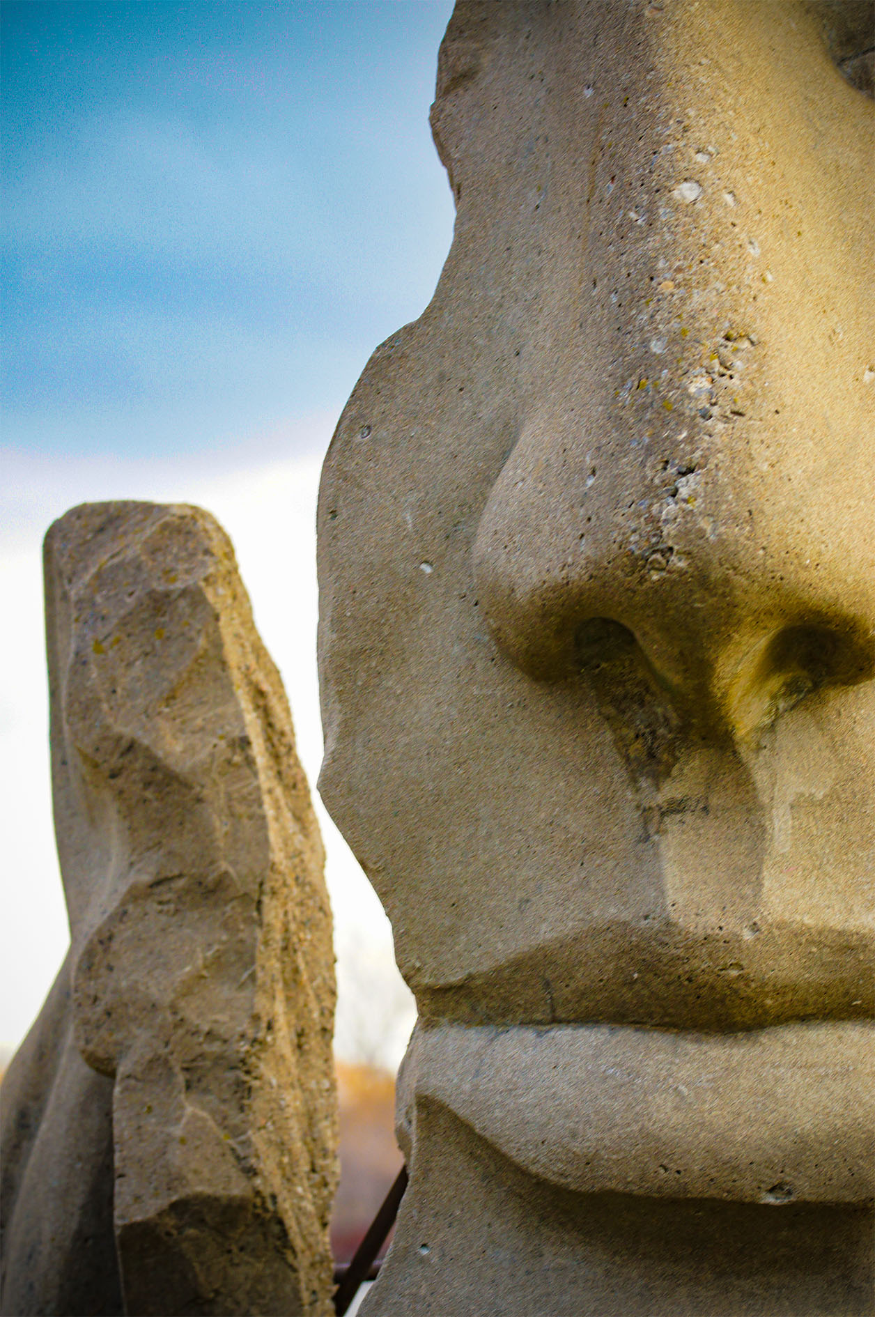 Maude Desbois Photographie