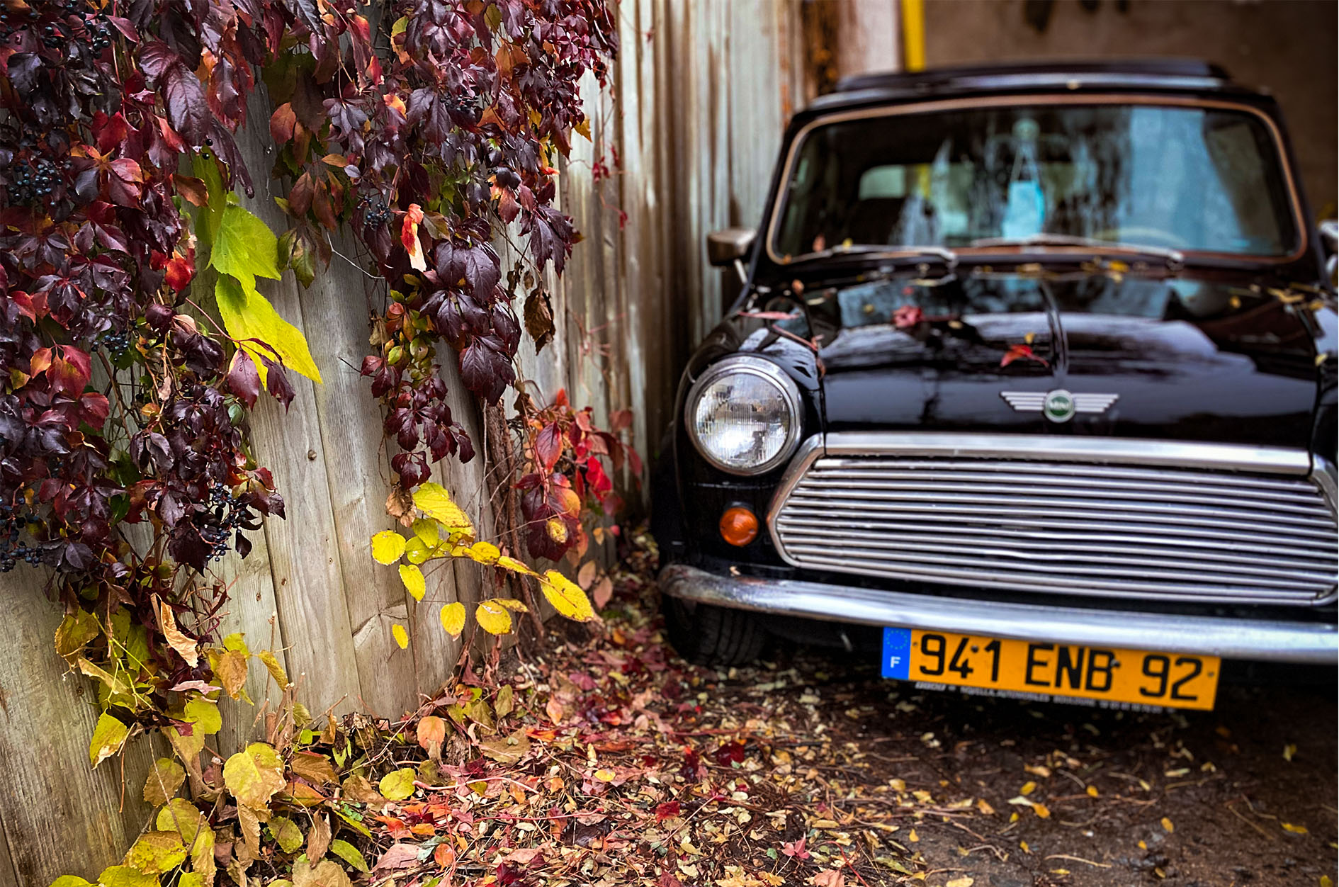 Maude Desbois Photographie