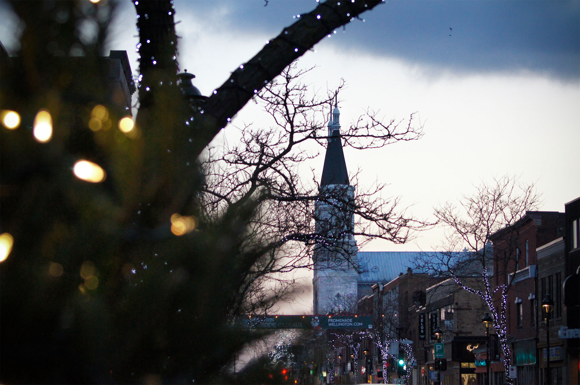 Maude Desbois Photographie