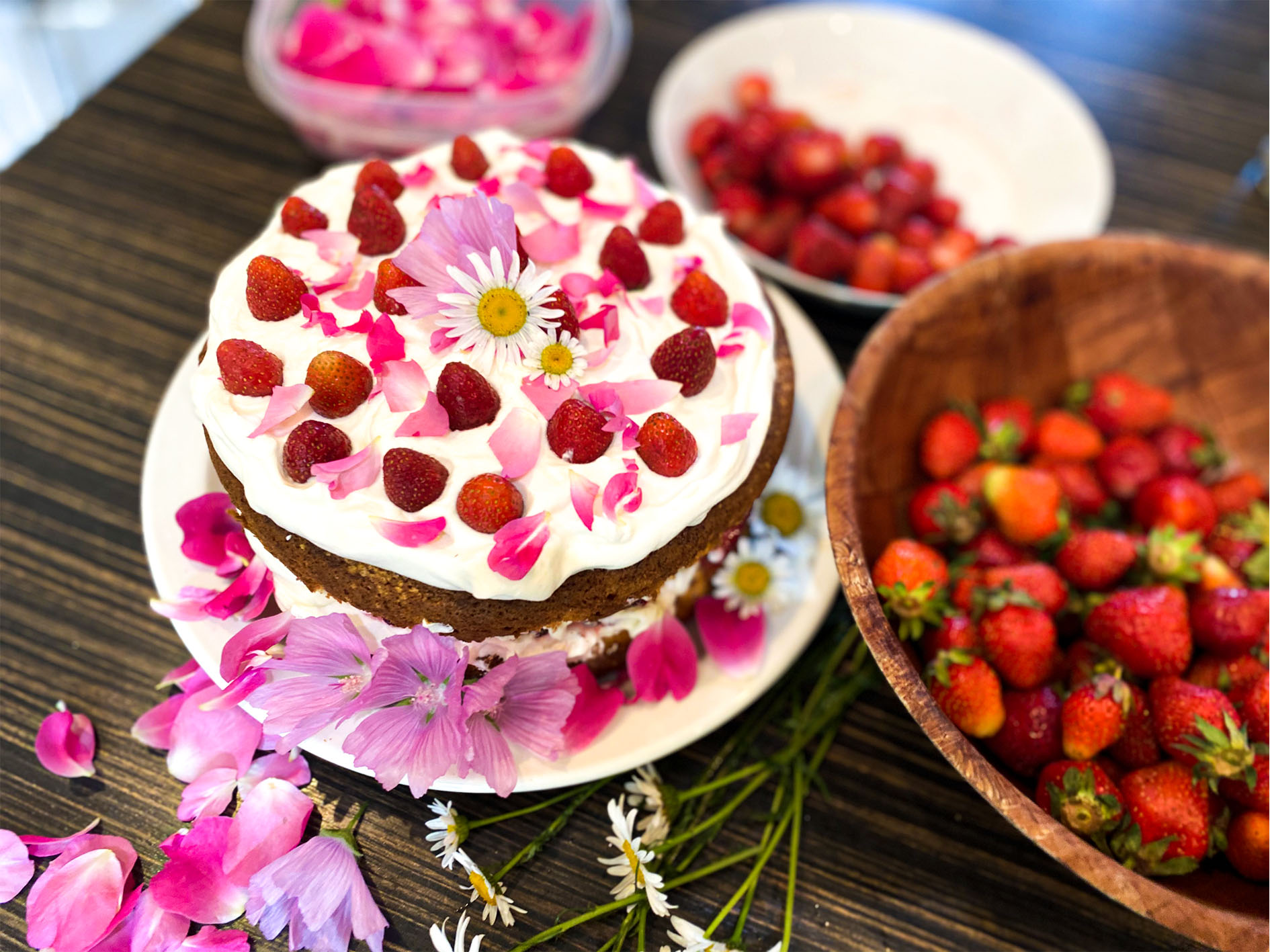 Maude Desbois Photographie